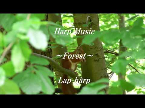 Harp Music ~Forest~ Lap harp(Saori Mouri 毛利沙織)