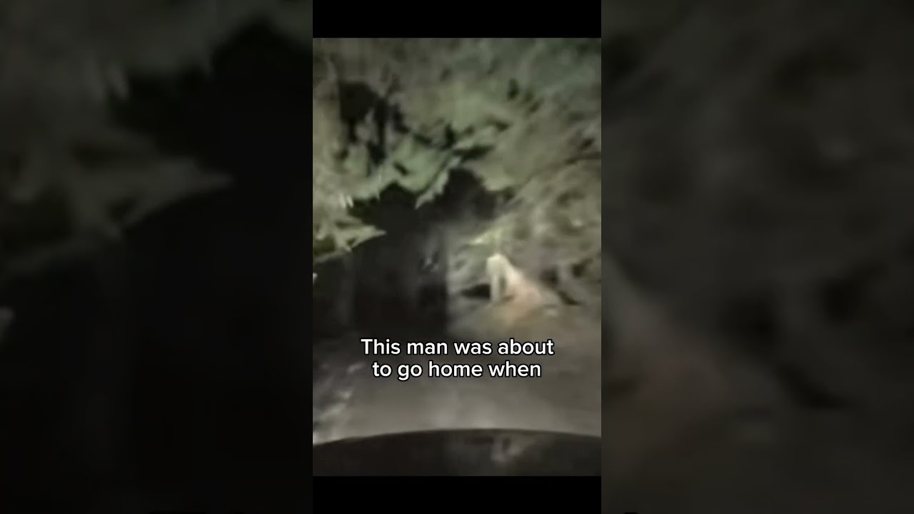 Proof That Dinosaurs Still Exist Science