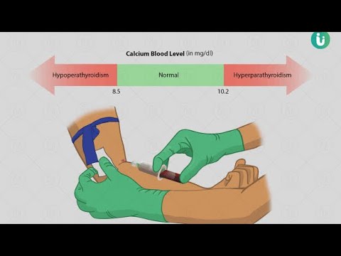 Кальций тест 9 класс. Procedures in Medicine x-ray Blood Test Worksheets.