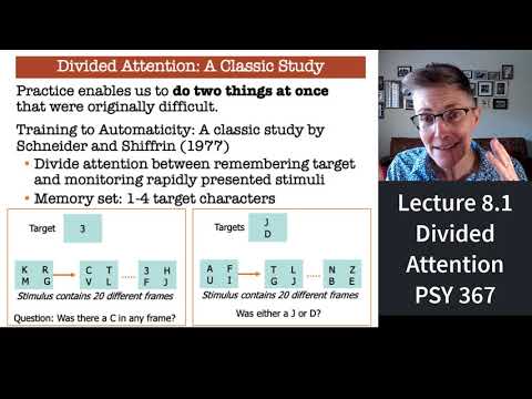 367 Lecture 8.1 Divided Attention