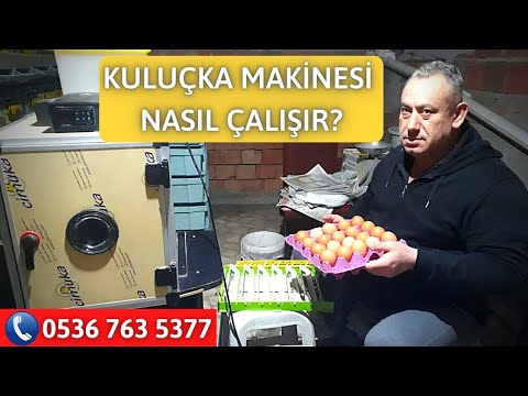 Video: Bir Kuluçka Makinesi Nasıl çalışır?