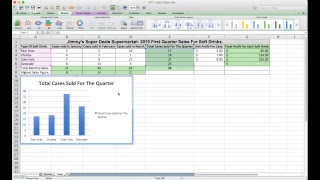 CIS100 2011 spreadsheet solution