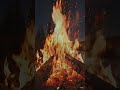 #CampfireASMR #FireSounds #MountainLake #NightfireASMR #CampfireVibes #NatureASMR #StarryNight #Milk