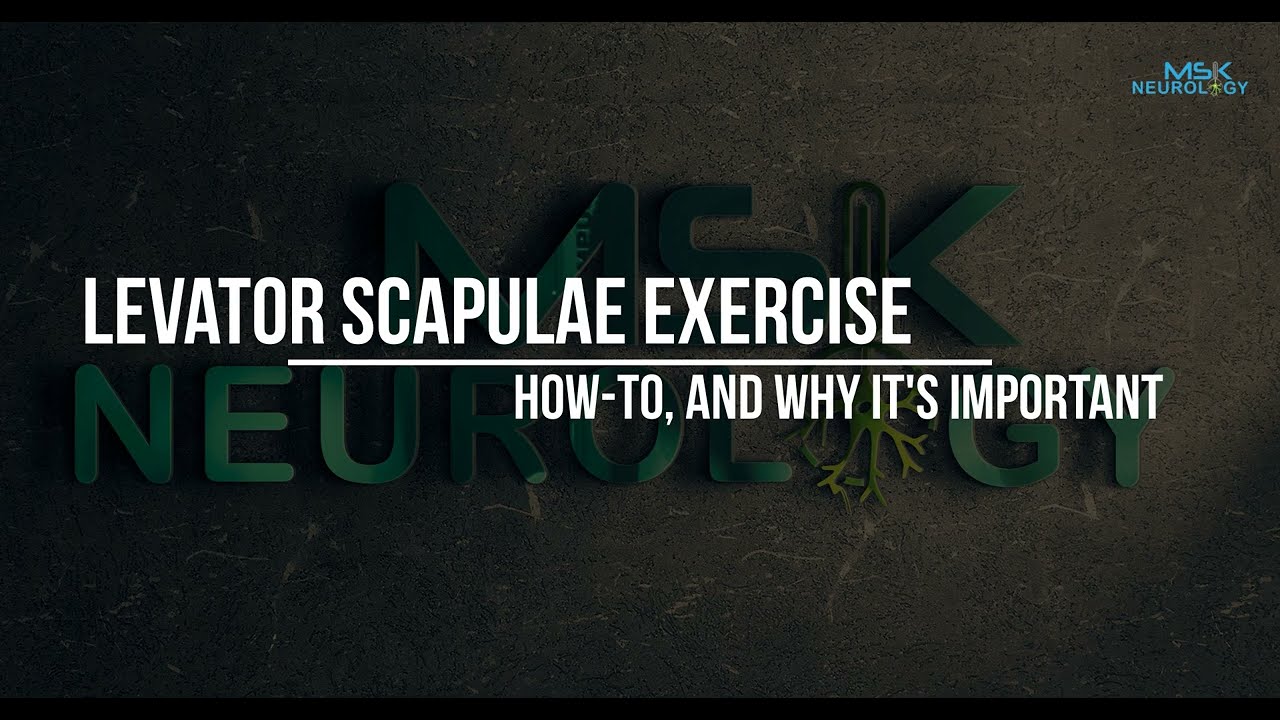 Повторное упражнение на поднимающую лопатку мышцу | Важный стабилизатор лопатки и шейного отдела ...
