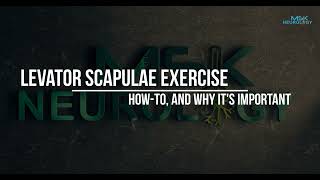 Revised levator scapula exericse | An important stabilizer of the scapula and cervical spine