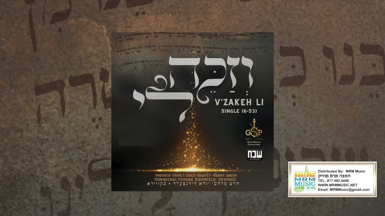 Vizakeh Li Mordechai Yehuda Direnfeld | Nigunei Skver Official Audio