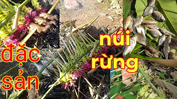 Bữa cơm trong rừng!