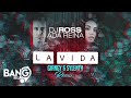 DJ ROSS, ADA REINA - La Vida (Giangy &amp; Sylenth Remix)