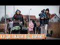 Антипанічні #ШОУБІСИКИ. Чи треба тікати до Європи від війни в Україні?