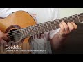 Cordoba C5 CE Natural Electric Acoustic Guitar