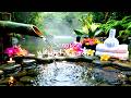 Deep Sleep Thaerapy with Natural Sounds 🌿 Stress Relief, Insomnia &amp; Focus Healing
