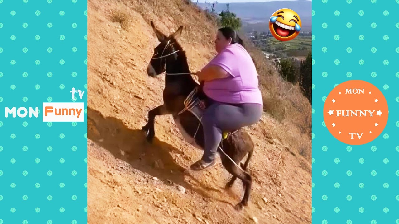 تحدي لا تضحك 🤣😆 | أفضل المقاطع المضحكة بلا توقف | ضحك من البداية للنهاية | الجزء 6 | 2026