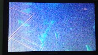 INC TV 48 - Sign Off (2018)