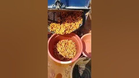 Máy rửa nghệ :)