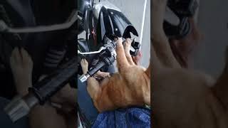 Download lagu Anjing naik satria fu Anjing naik satria fu