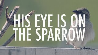 His Eye is on the Sparrow | Virtual Worship