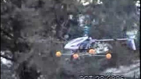 Hovering Flight of Trex  450 SE