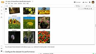 Practical AI 016b: Image Classification Notebook with TensorFlow