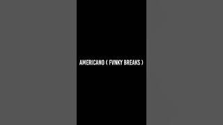 Americano ( Fvnky Breaks ) Len Gombel New Remix ‼️