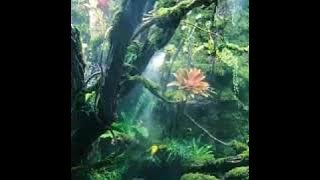 Ya'ayyuhannabi (lyric) voc.(Dewi hajar)