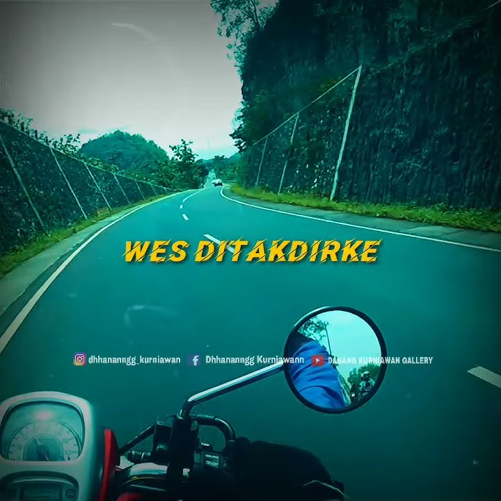 Story WA - WONG WEDOK ORA GELEM NGALAH (PARODI)  Lagu SUKET TEKI