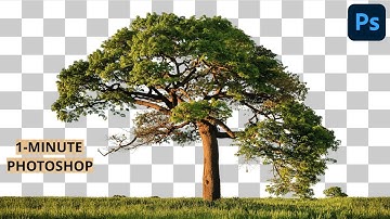 1-Minute Photoshop | How to cut out tree in Photoshop