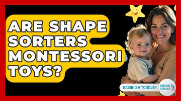 Are Shape Sorters Montessori Toys? - Raising A Toddler