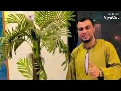 ازاي اعيش وانت مش معايا حالات واتس الفنان احمد عادل