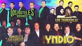 LAS 35 GRANDES CANCIONES DE TERRICOLAS, FREDDYS, PASTELES VERDES, ANGELES NEGROS, YNDIO