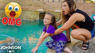 OUR GIANT POOL DISCOVERY on MOM'S BIRTHDAY! 