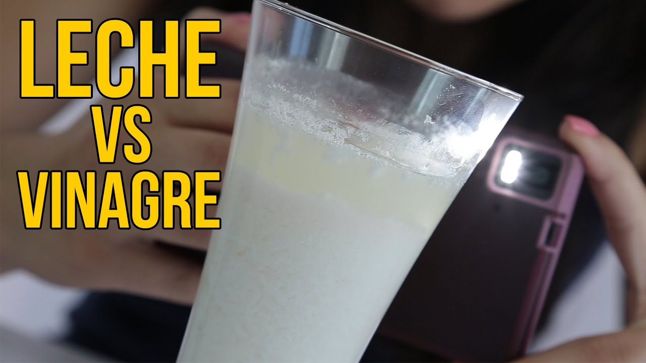 Qu\u00e9 ocurre si mezclas leche con vinagre (Experimentos ...