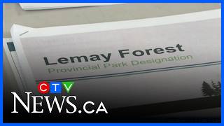 Discussing the future of Lemay Forest