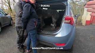 before, during & after, dog refused to get in the car by K9 boot camp, Andi Jackson 156 views 2 weeks ago 1 minute, 1 second