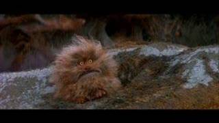 Fizgig
