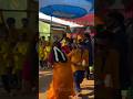 Viral Couple marriage Dance❤️ #dance #viralvideos #trending #shorts #viralshorts