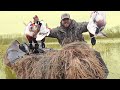 Solo Kayak MALLARD LIMIT | Public Land Duck Hunting