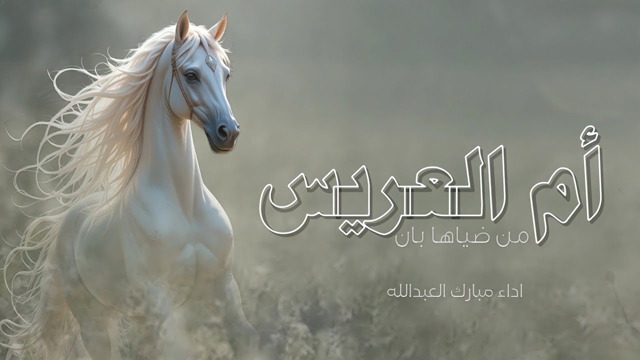 شيلة ام العريس من ضياها بان || اداء مبارك العبدالله (بدون حقوق) 2026