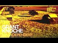 Grant Knoche - MR. INDEPENDENT (From “American Song Contest”) (Official Audio)