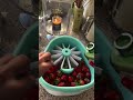 Most Satisfying Fruit Washer Ever#youtubeshorts#amazonfinds#fridgemagnet#fruitorvegetable#shorts