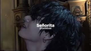 Señorita ~ Shawn Mendes (solo version) ~ slowed down