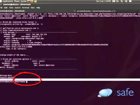 ‪WordPress SQL Injection
