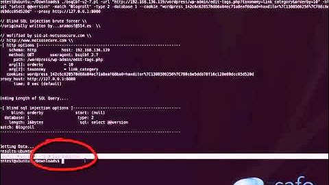 ‪WordPress SQL Injection