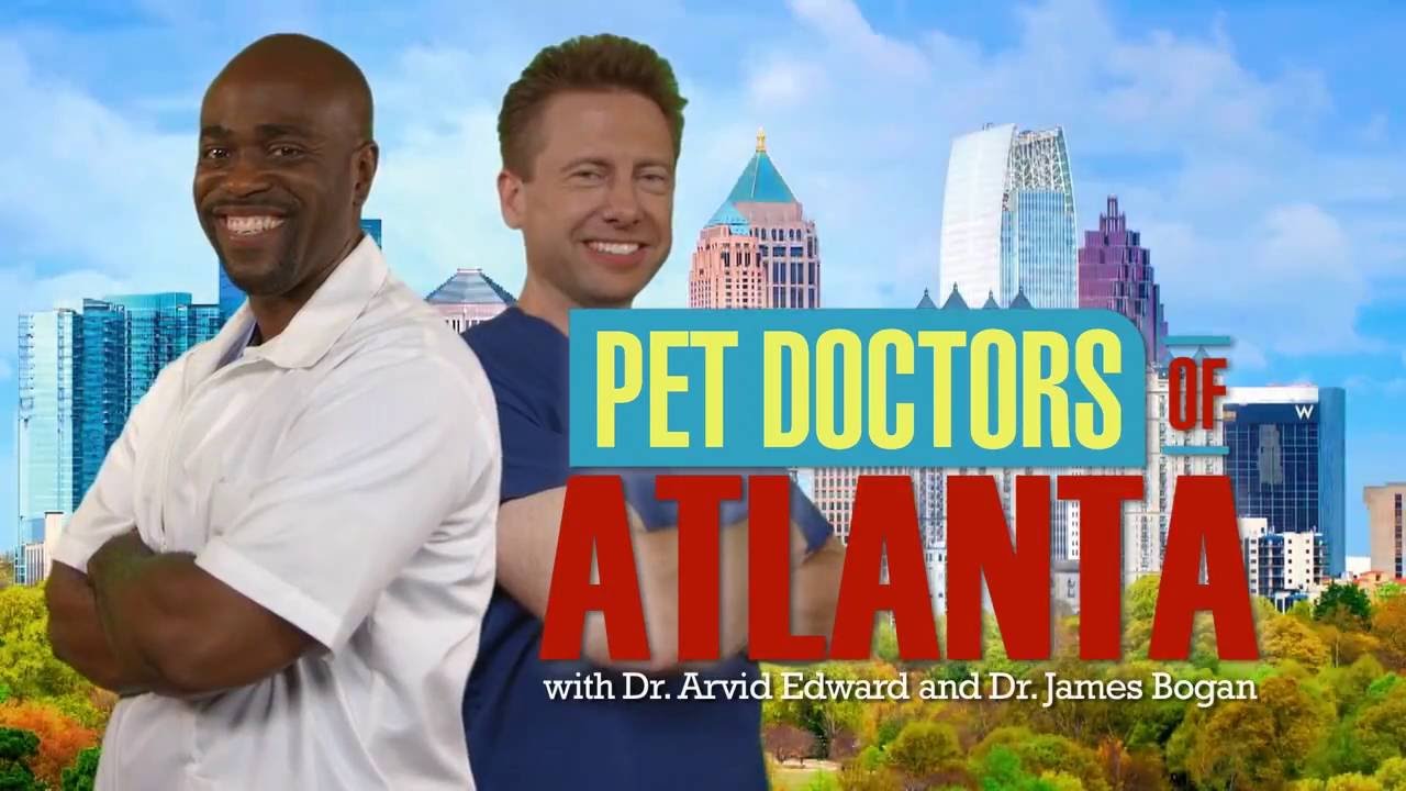 Pet Doctors of Atlanta Episode 1 YouTube