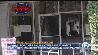 Roaches shut down restaurants
