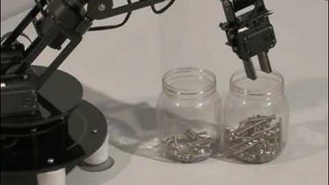 Cyton Robot Sorting Screws