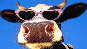 Minecraft - Milky Client 1.8.x (OptiFine) Minecraft 1.8.x Hacked Client - WiZARD HAX