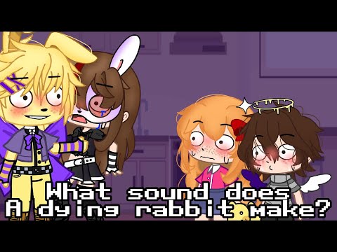 What does a dying rabbit sound like? || afton family || 