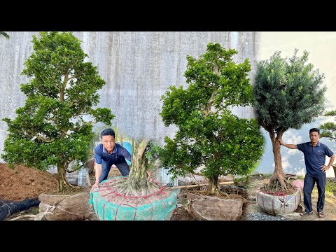 Kieu Trang Kiều Trang 0772886767 - YouTube