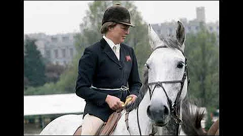Caroline Bradley ''Schooling for success''