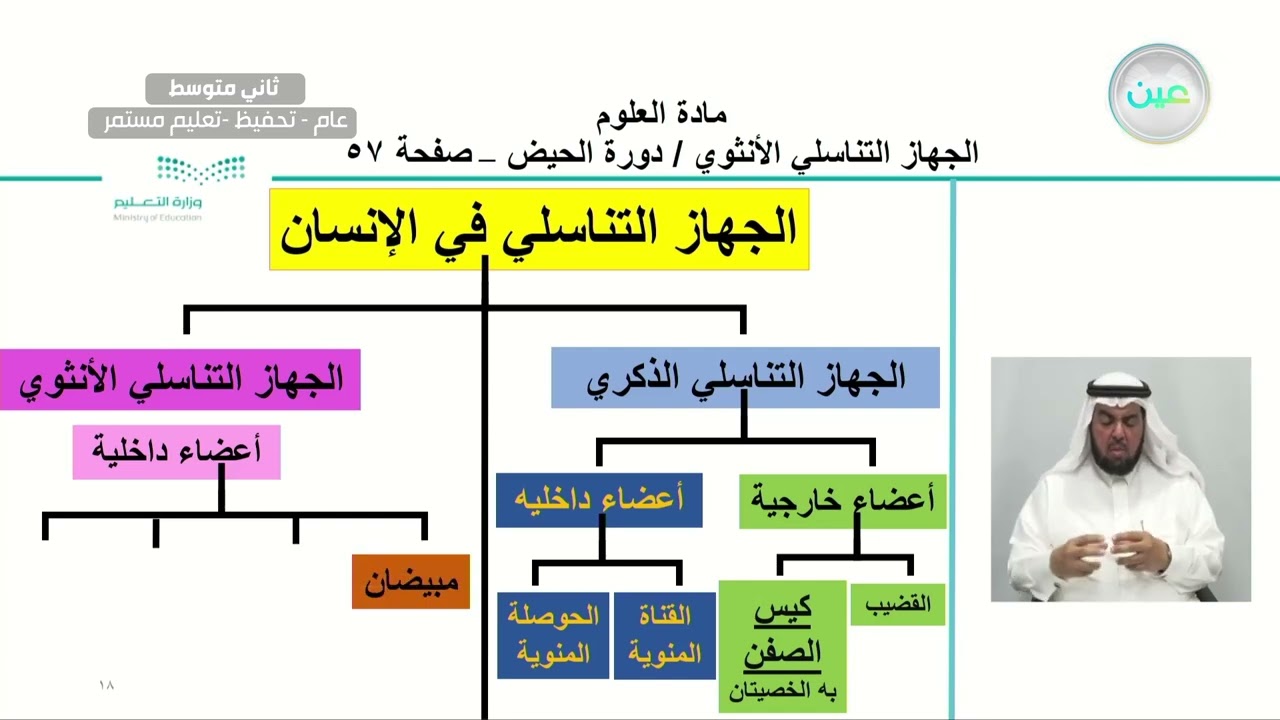 الجهاز التناسلي الأنثوي / دورة الحيض - العلوم - ثاني متوسط